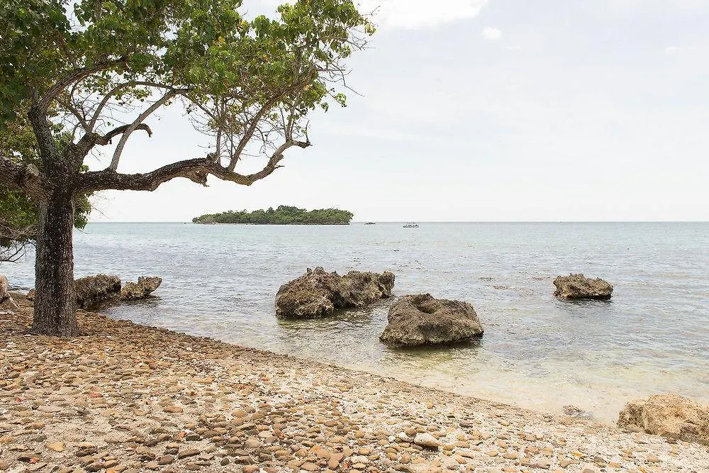 Sea Breeze Beach Studio - Negril 0*,  Jamajka